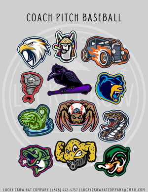 McDowell Babe Ruth Coach Pitch Baseball