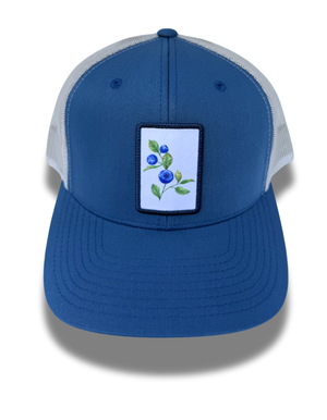 Print Stitch: Blueberries